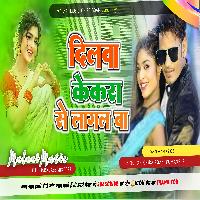 Dilwa Kekara Se Lagal Ba Batada E Raja Ji New Bhojpuri Lagan Song 2023 mp3 MalaaiMusicChiraiGaonDomanpur 